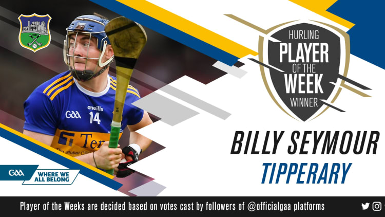 GAA.ie Hurler of the Week Billy Seymour.