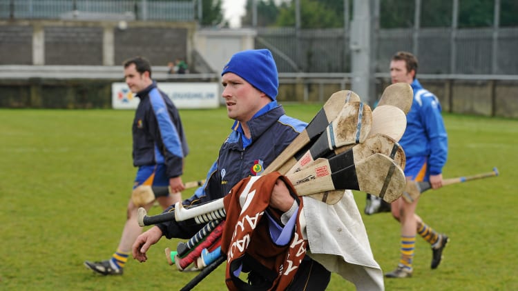 Johnny Keane has been ratified as the new Roscommon senior hurling manager.