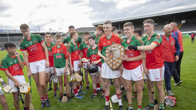 James Stephens celebrate after winning the Division 1 Kilkenny John West Féile na nGael Division 1 Cup Final.