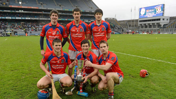 Six Burke brothers won AIB All-Ireland Club SHC medals with St Thomas' in 2013.