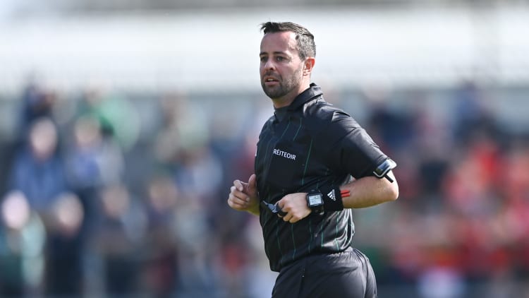 Meath referee David Gough.