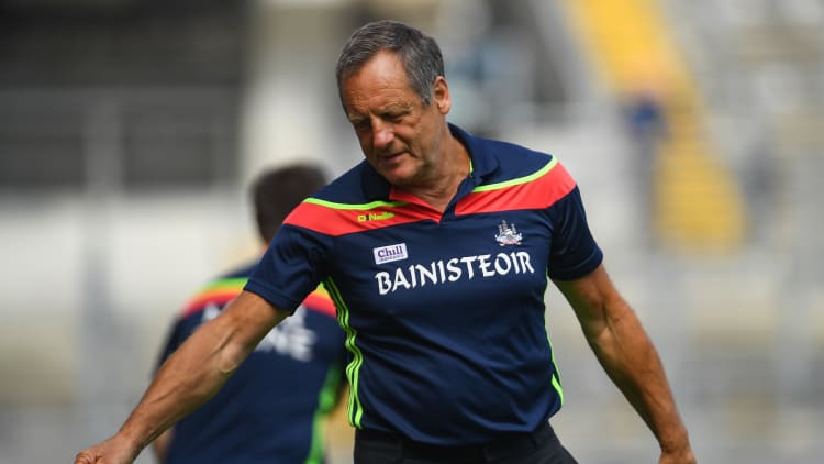 John Meyler has stepped down as Cork senior hurling team manager.