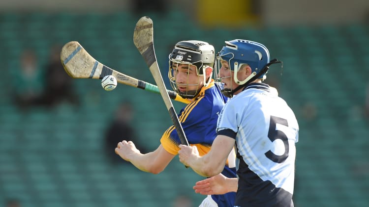 Big guns Na Piarsaigh and Patrickswell will meet in the Limerick Senior Hurling Championship this weekend.
