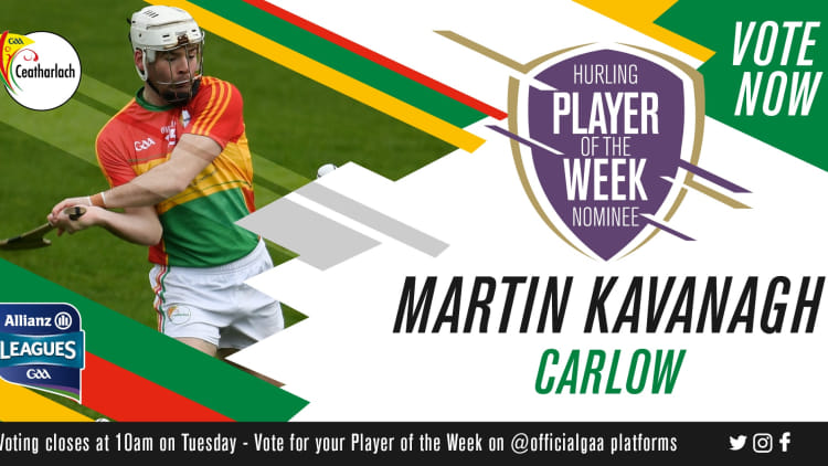 GAA.ie Hurler of the Week Martin Kavanagh.
