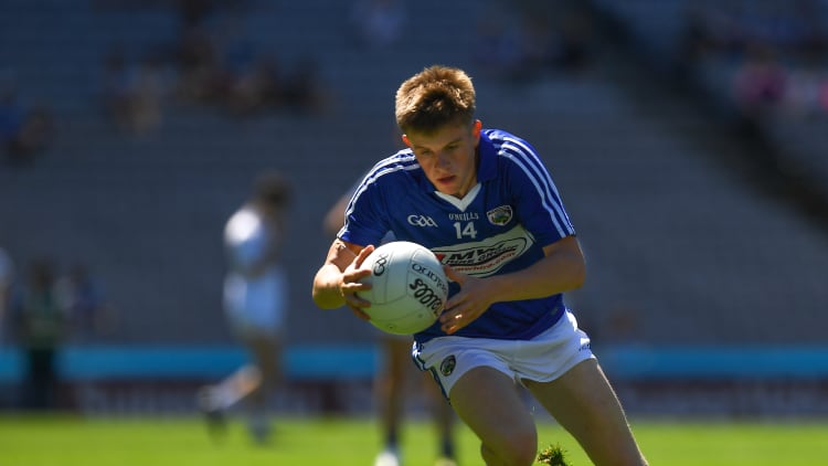 Diarmuid Whelan scored 10 points for Laois in their victory over Kildare.