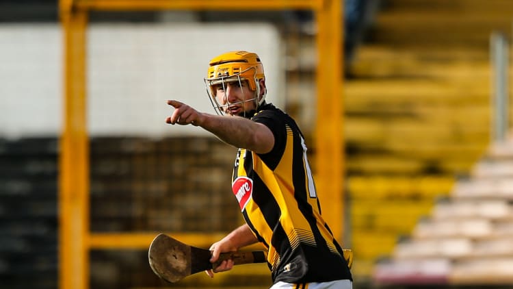 Billy Ryan celebrates after scoring a goal for Kilkenny against Laois at UPMC Nowlan Park.
