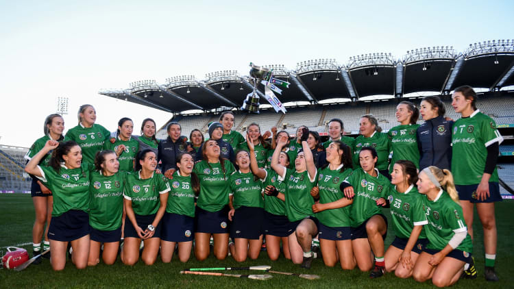 Sarsfields won the AIB All Ireland Club Senior Camogie Championship at Croke Park.