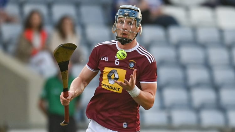 Westmeath centre-back, Tommy Doyle, is the GAA/GPA Joe McDonagh Cup Hurler of the Year for 2021.
