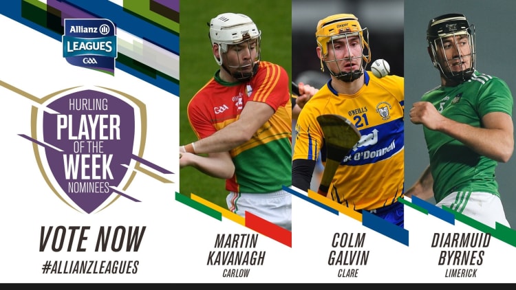 GAA.ie Hurler of the Week nominations.