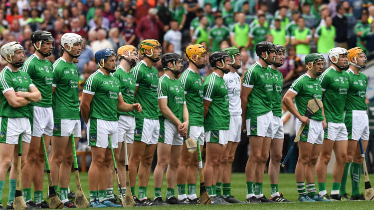 All 15 of the Limerick team that started the All-Ireland SHC Final have been nominated for an All-Star.