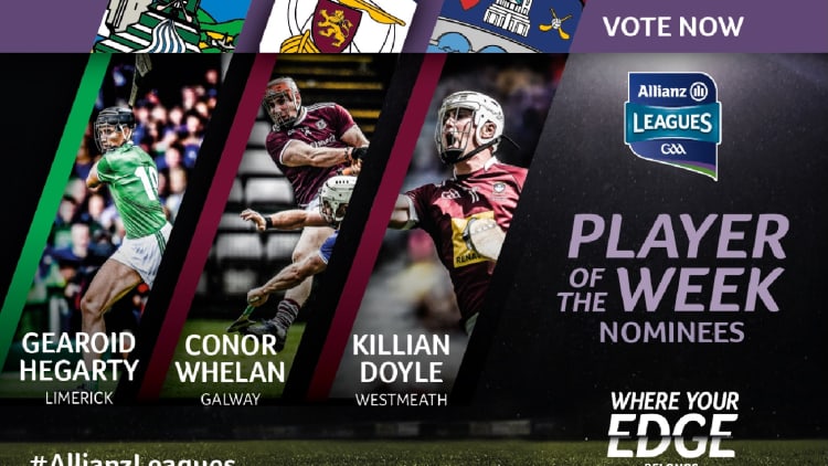 GAA.ie Hurler of the Week nominations.