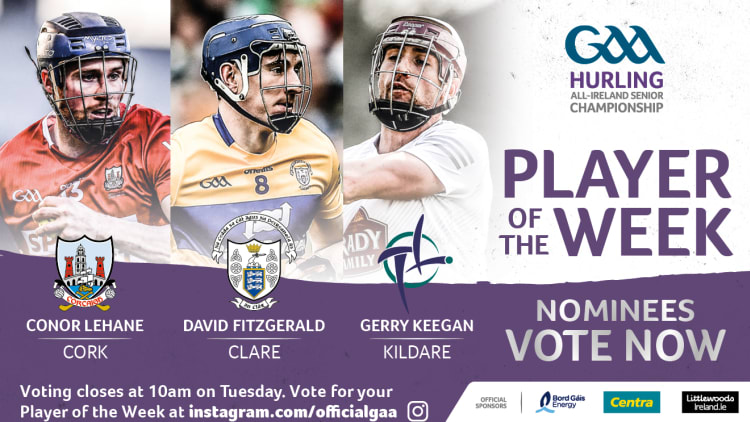 Cork's Conor Lehane, Clare's David Fitzgerald, and Kildare's Gerry Keegan are this week's nominees for GAA.ie Hurler of the Week.