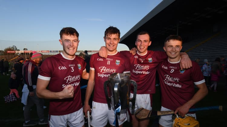 St Martin's won the 2019 Wexford Senior Hurling Championship.