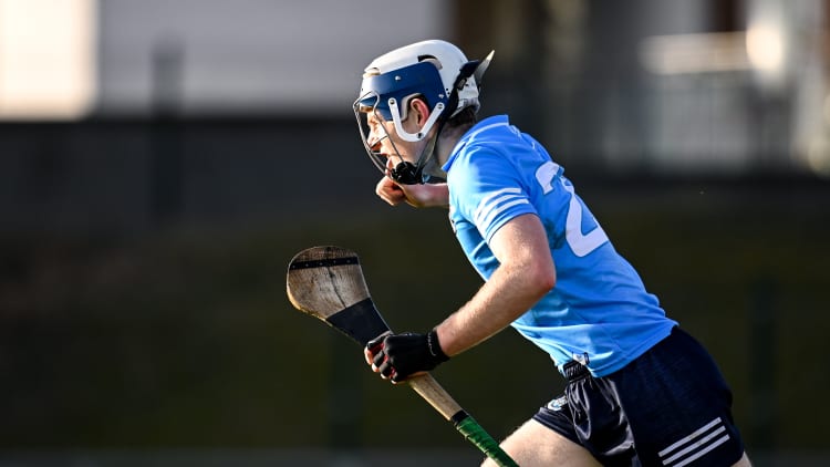 Kevin Desmond netted a goal for Dublin against Offaly.