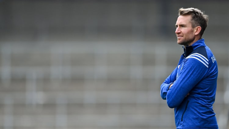 Eddie Brennan has stepped down as Laois senior hurling manager.